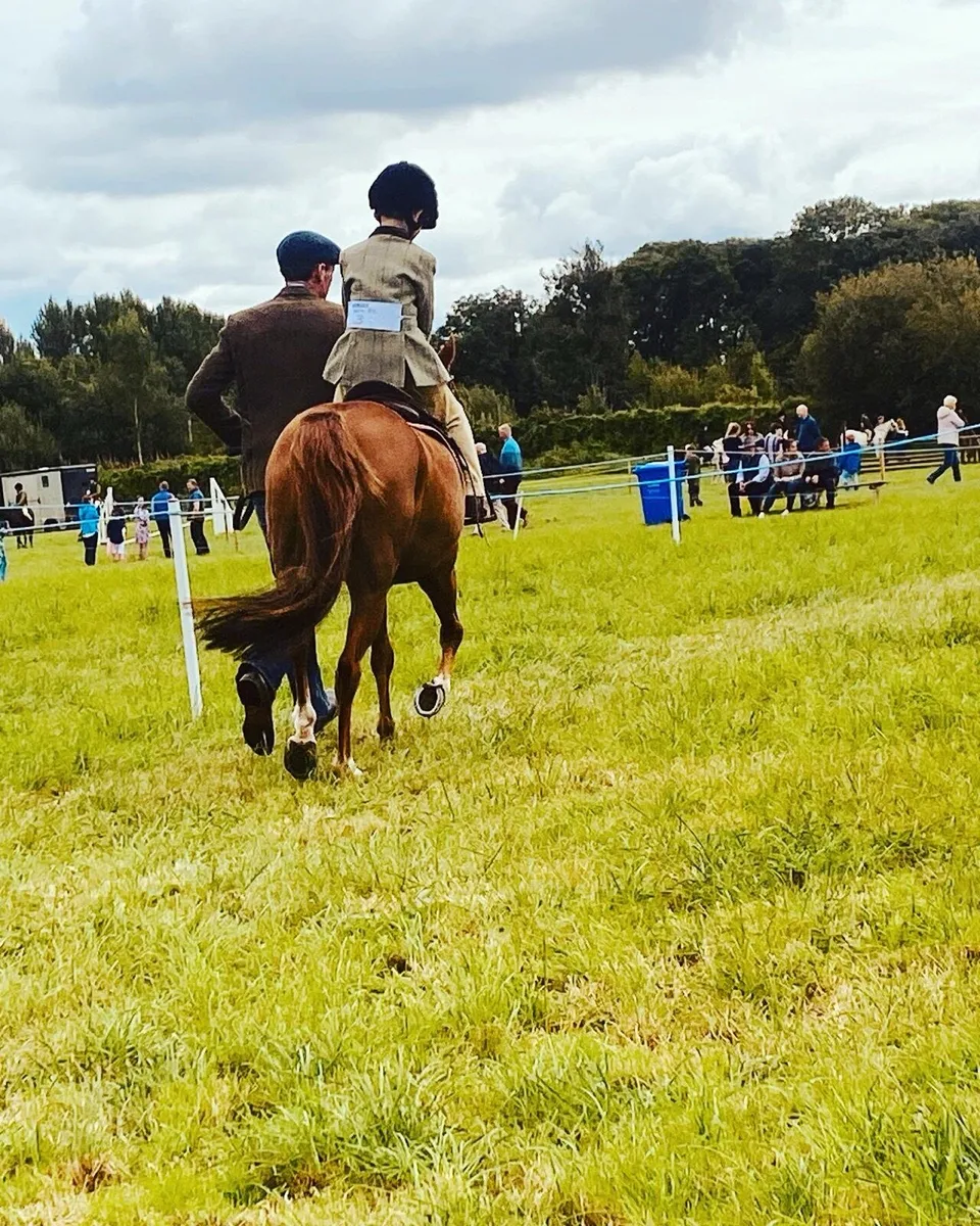 12.2 schoolmaster - Image 3