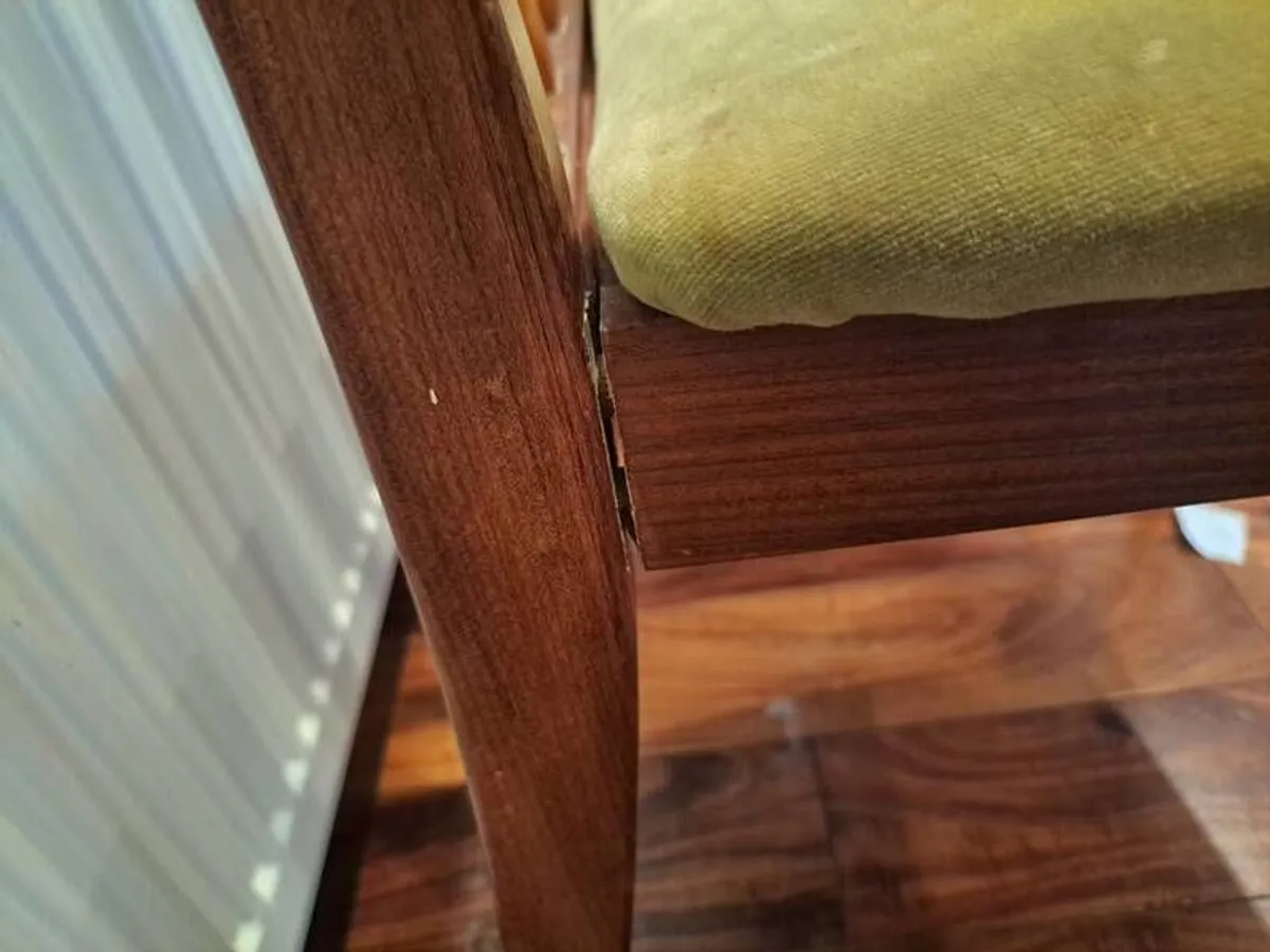 G Plan mid century dining chairs - Image 3