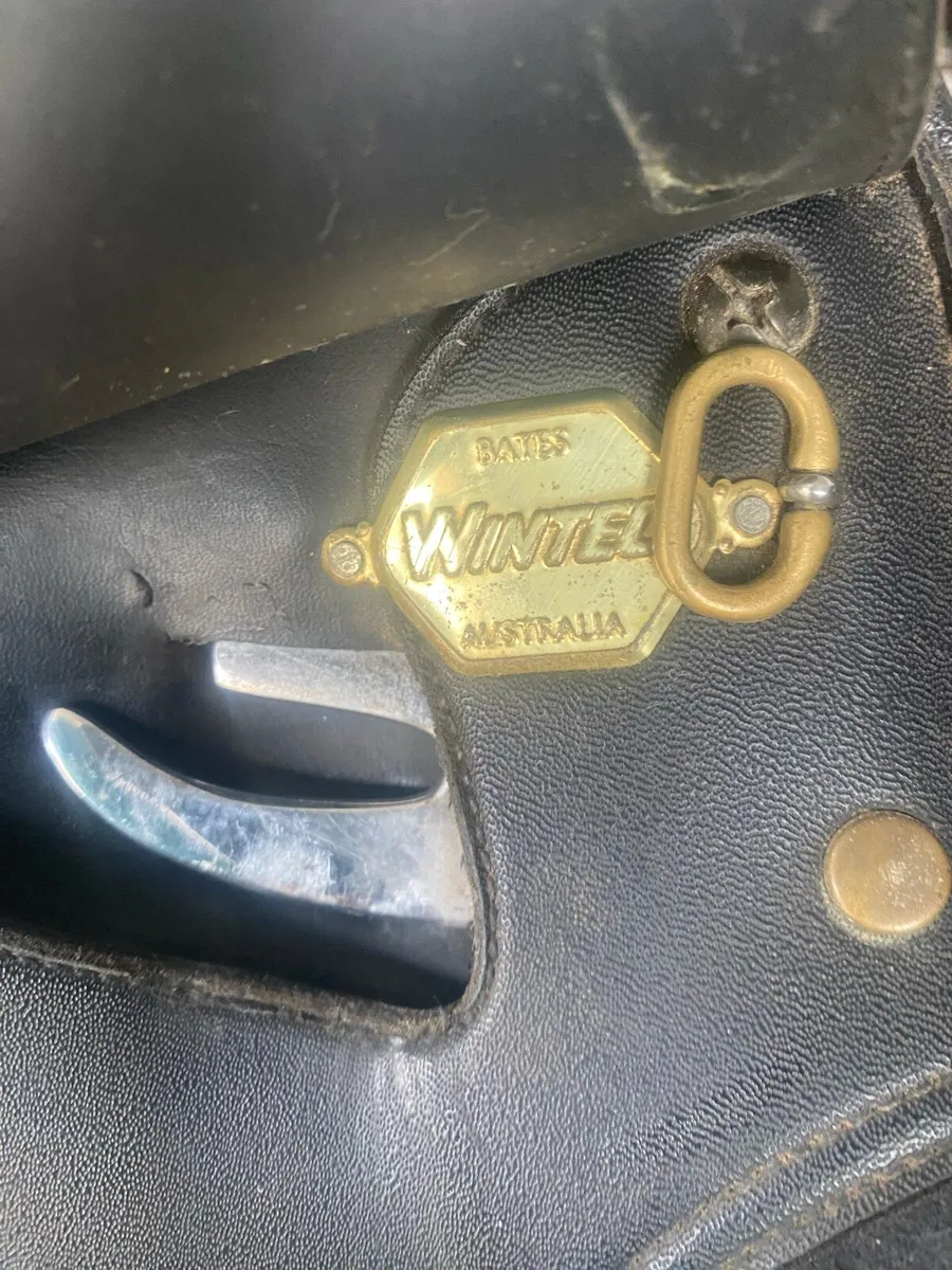15” Wintec adjustable saddle - Image 3