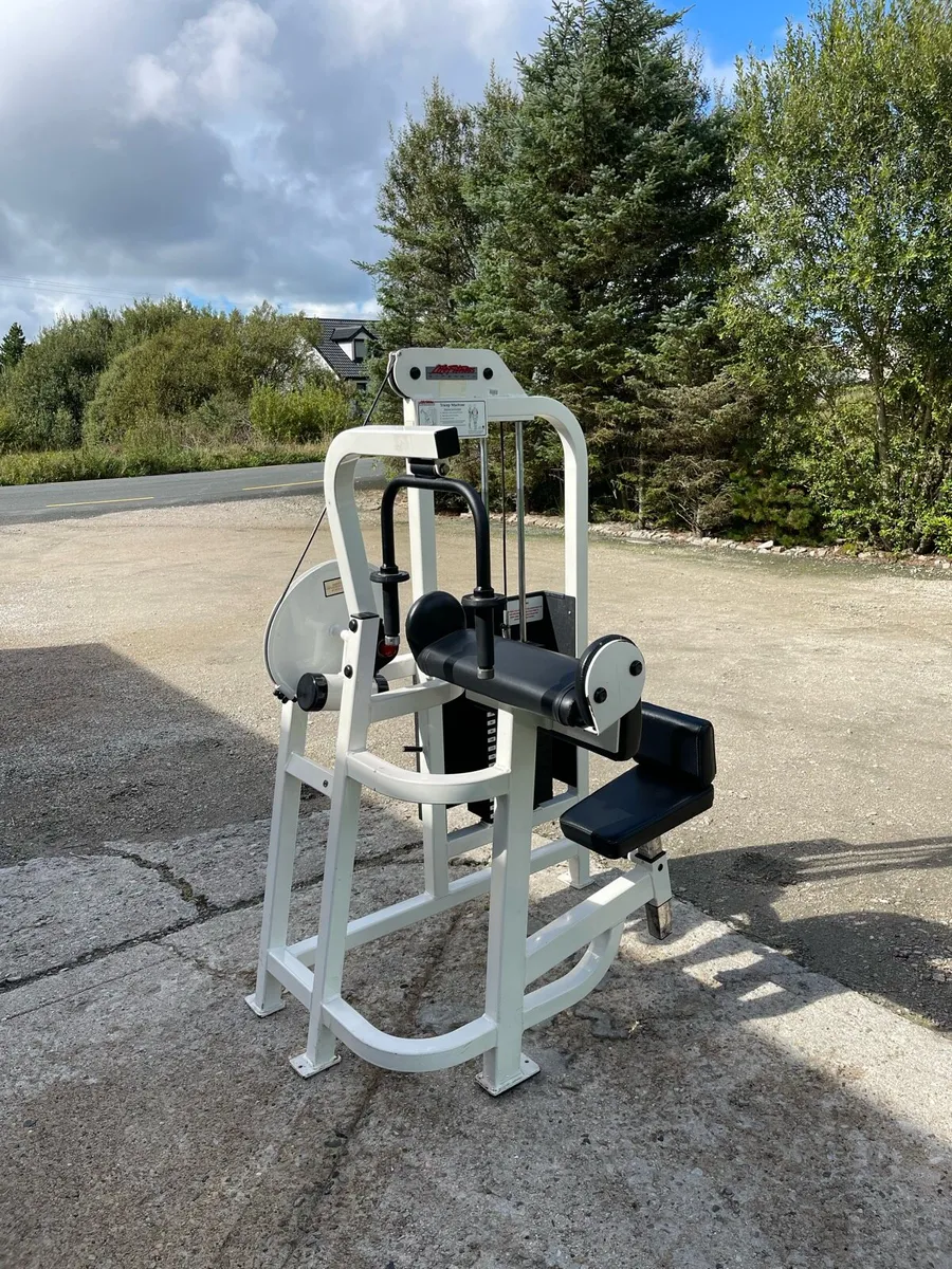 Life Fitness Pro 1 Tricep Extension - Image 1