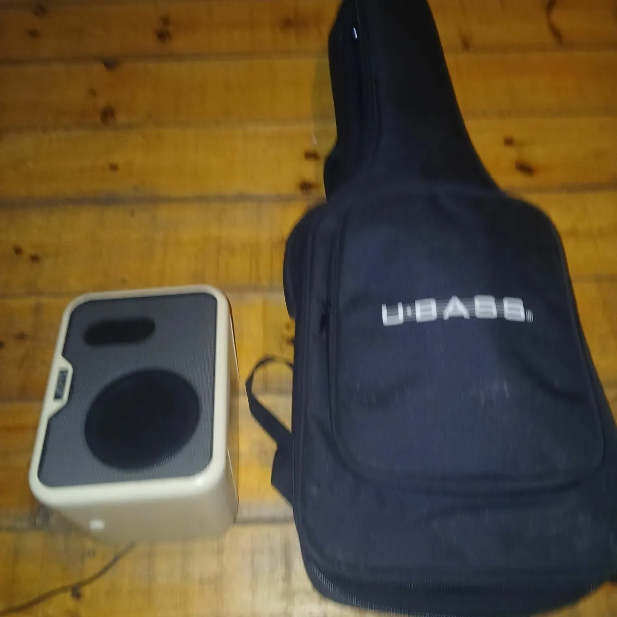 Bass - Image 2