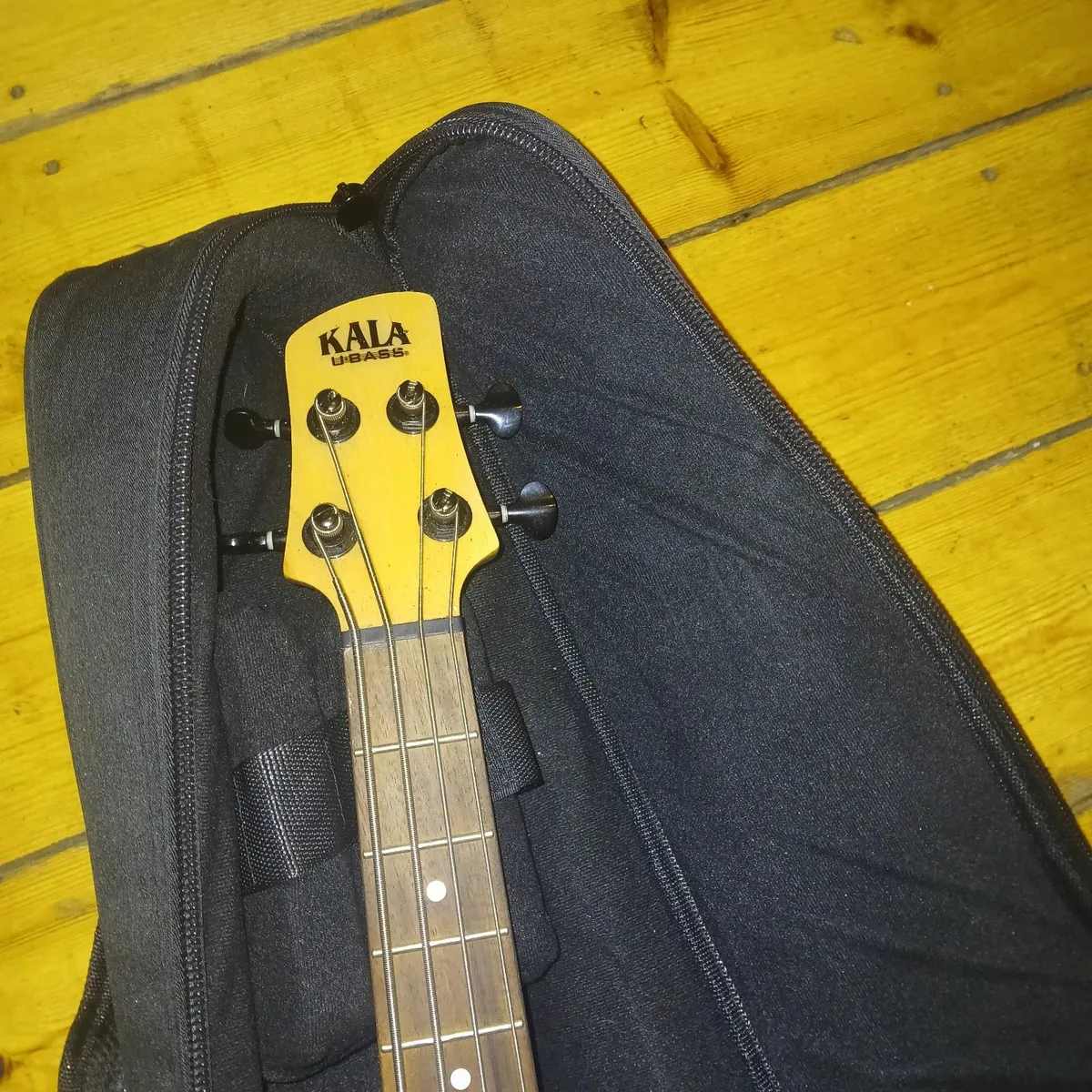 Bass - Image 3