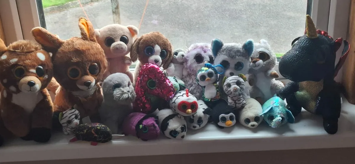 Teddies