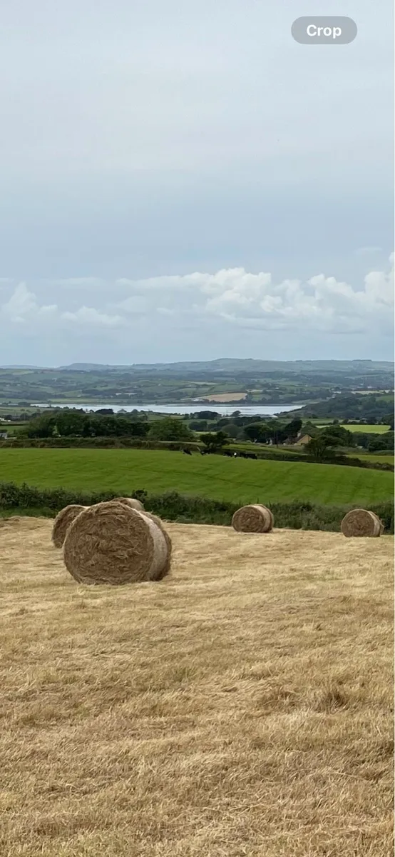 Hay bales - Image 1