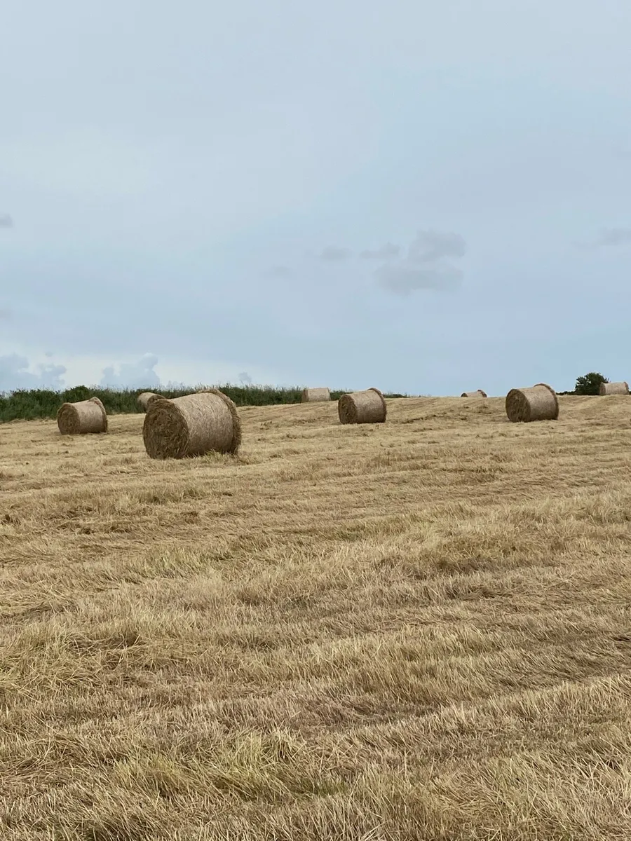 Hay bales - Image 2