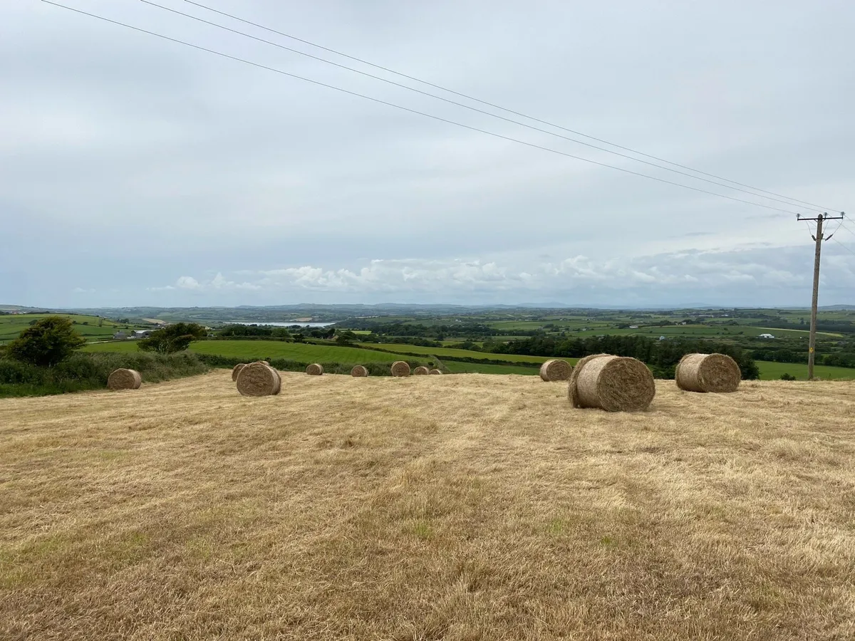 Hay bales - Image 3