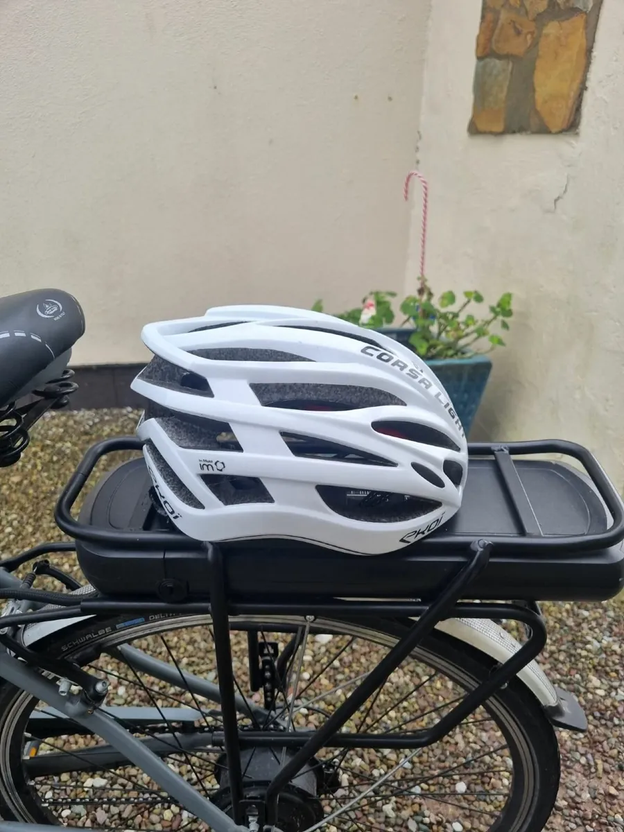 Electric bike - Image 2