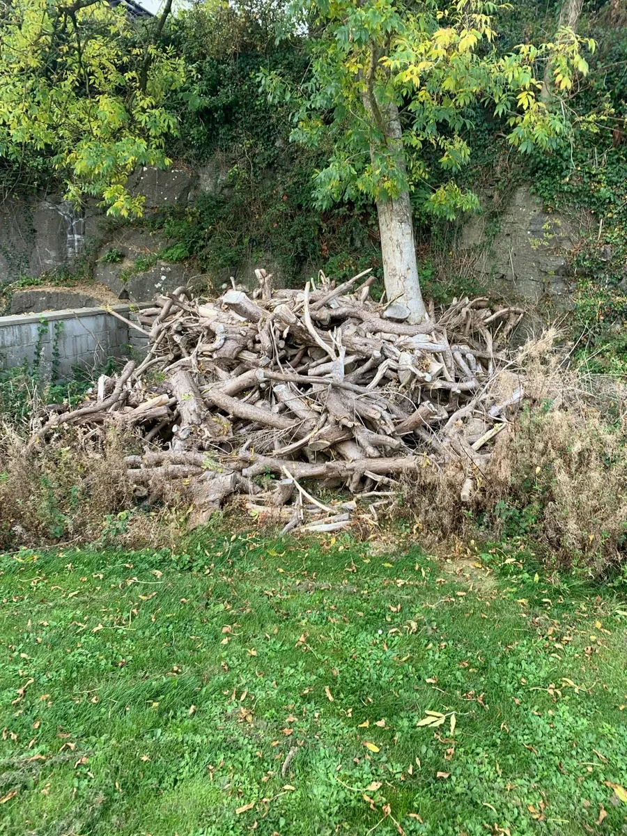 Firewood