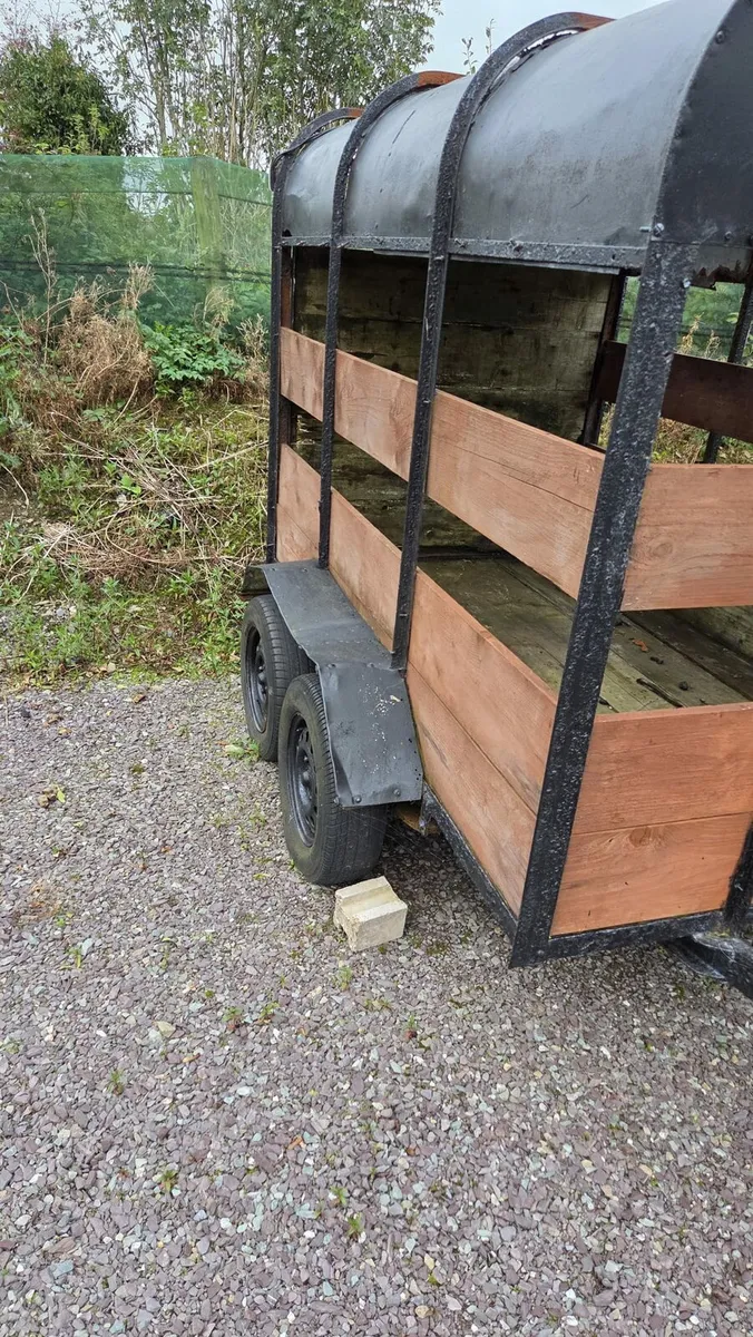 Cow box - Image 1