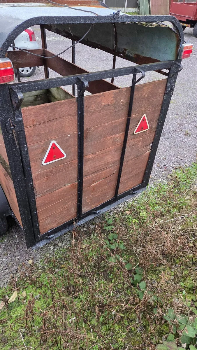 Cow box - Image 2