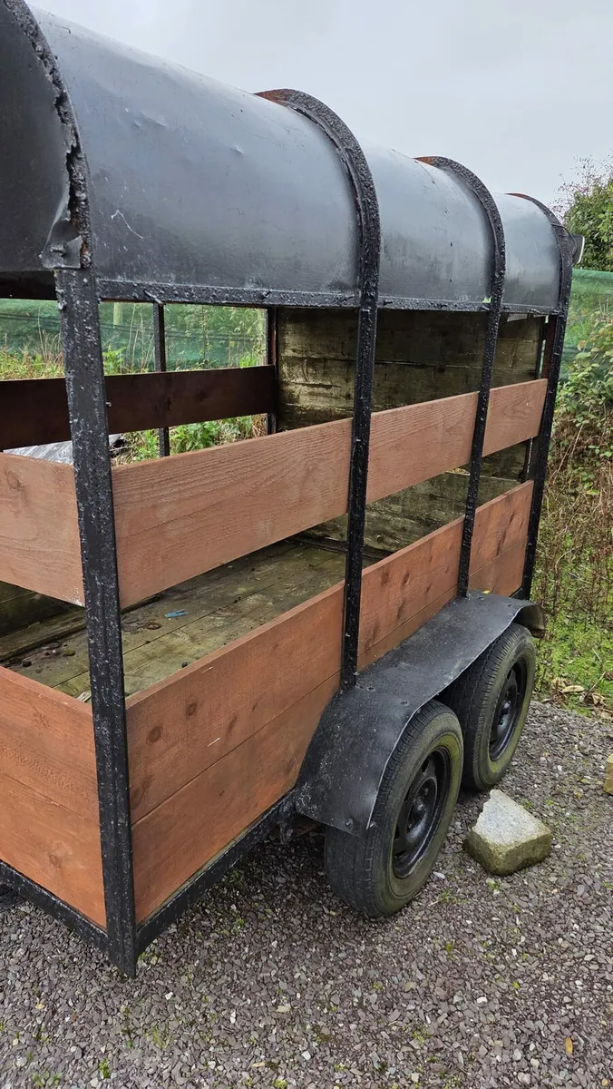 Cow box - Image 3