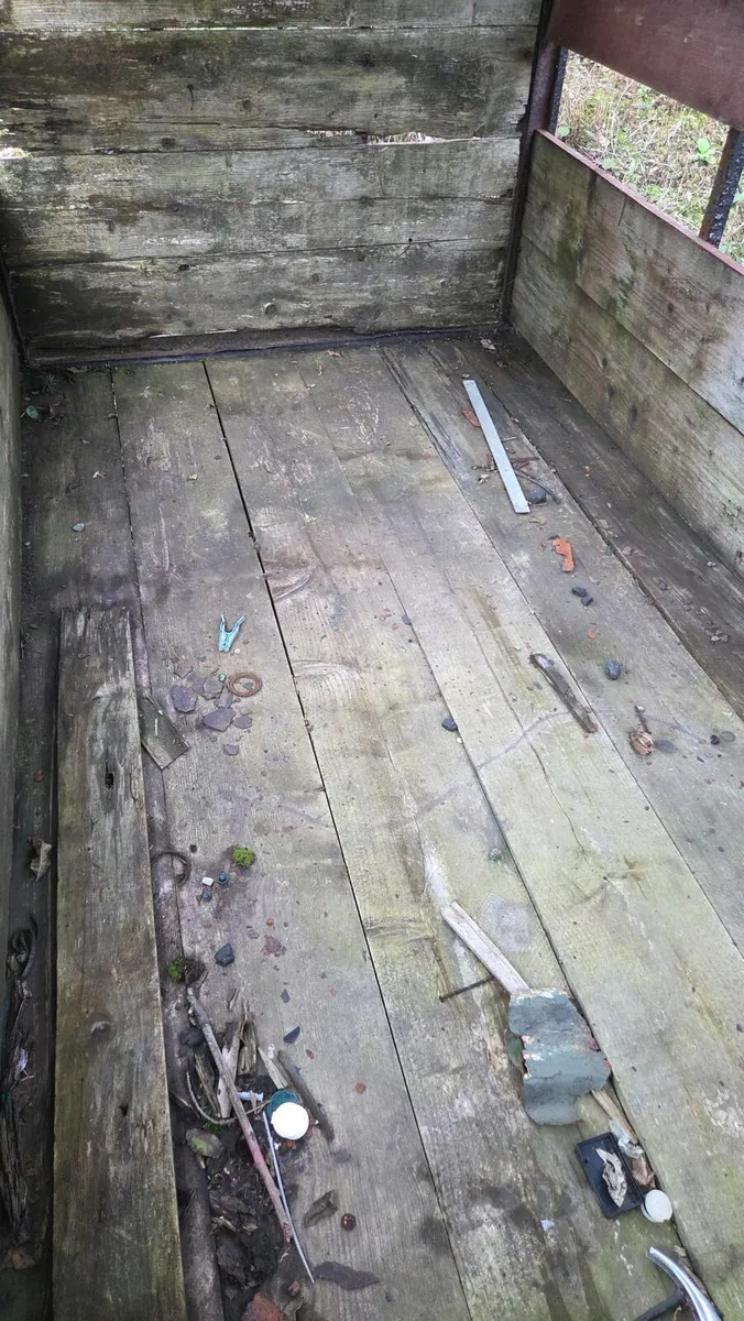 Cow box - Image 4