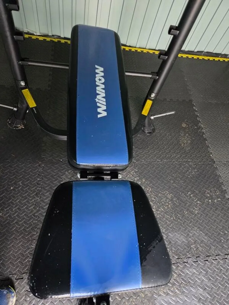 Weights Bench with preacher curl and leg extension - Image 1
