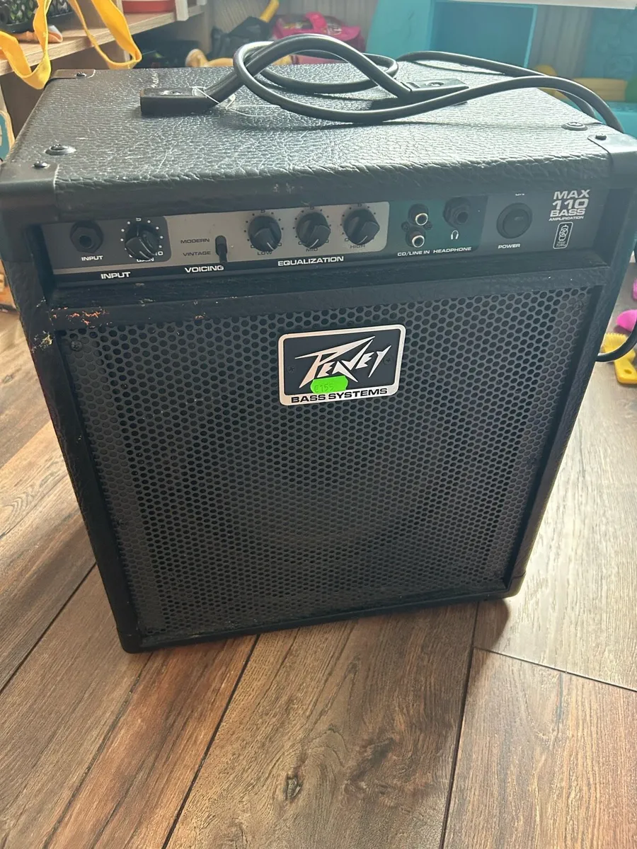 Bass amplifier - Image 1