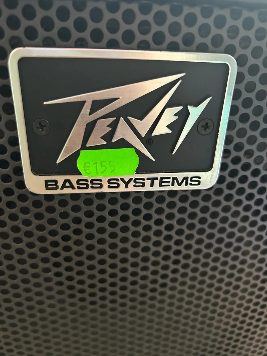 Bass amplifier - Image 3