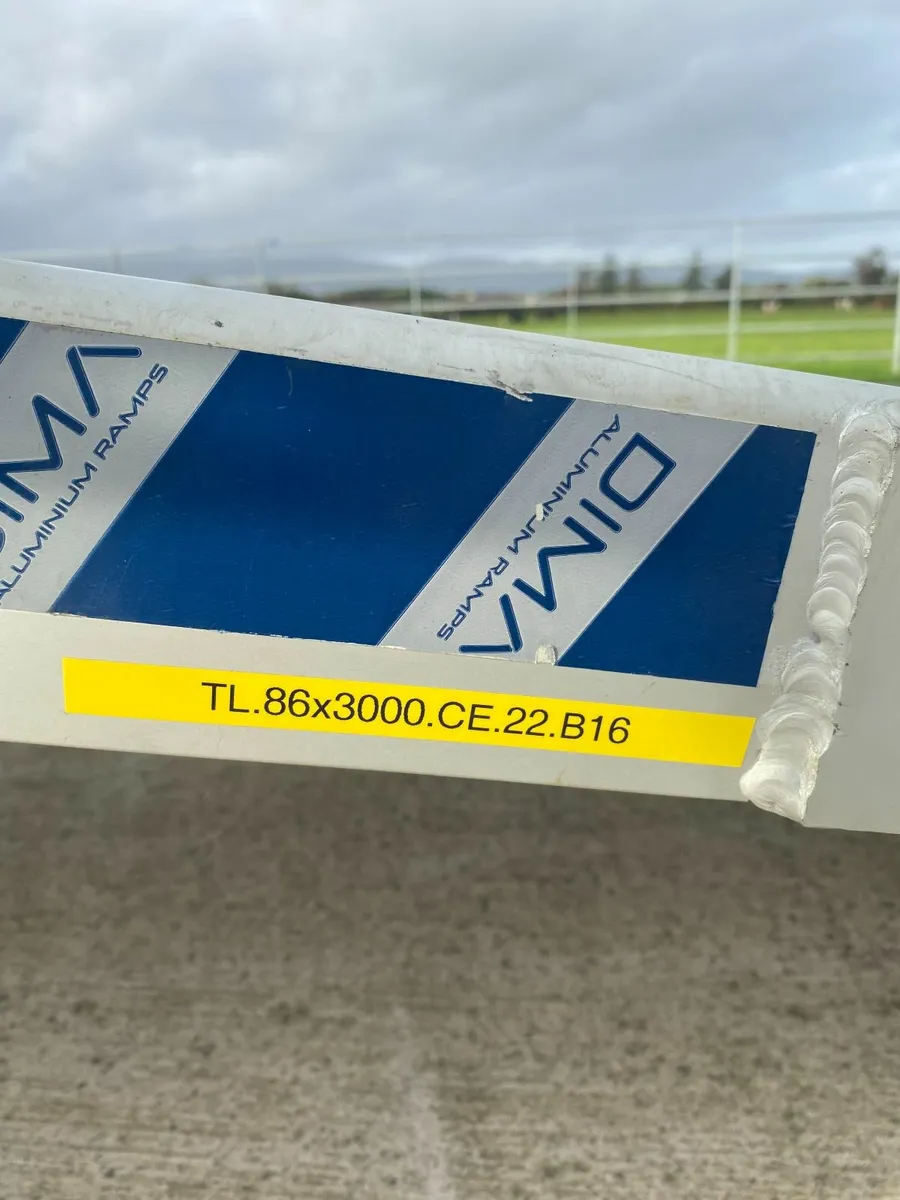 Van Ramp - Image 4