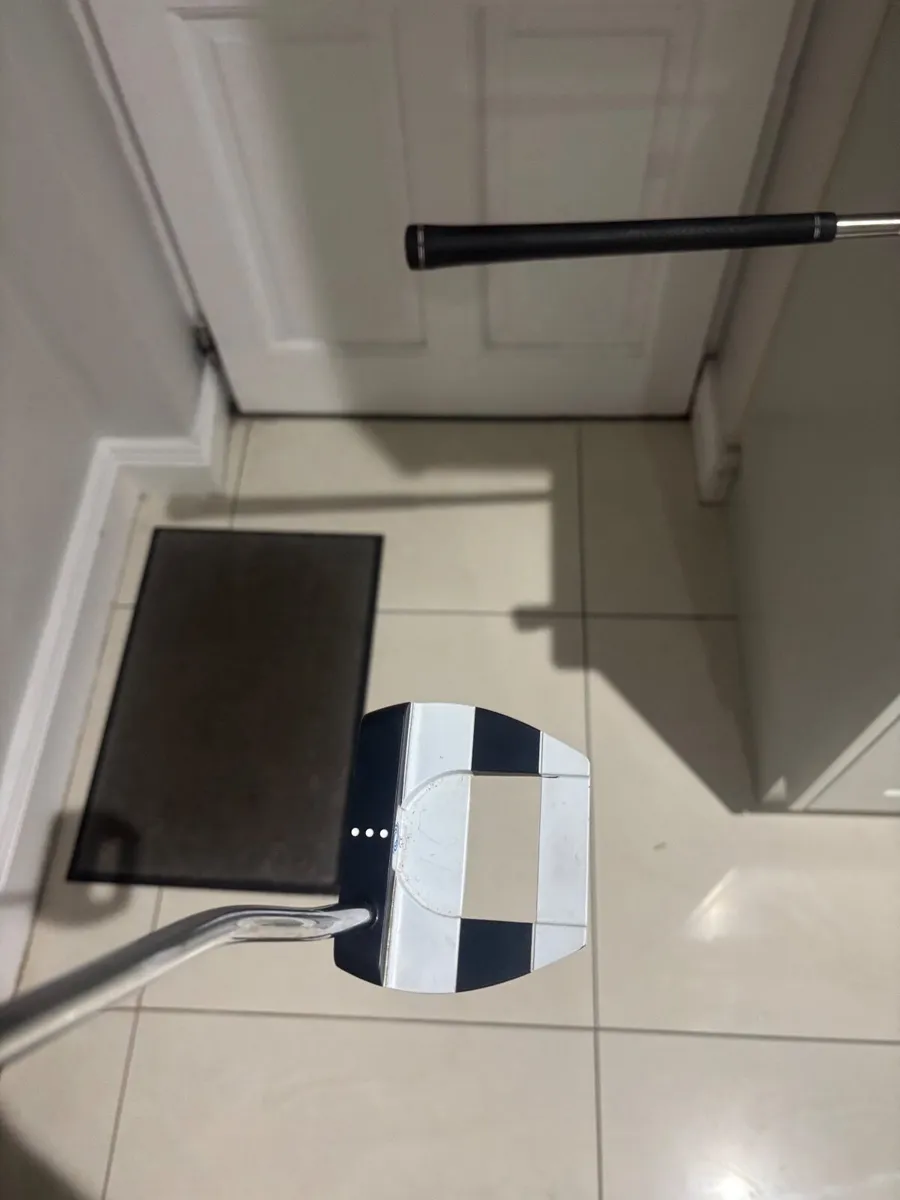 Odyssey Jailbird - Image 1