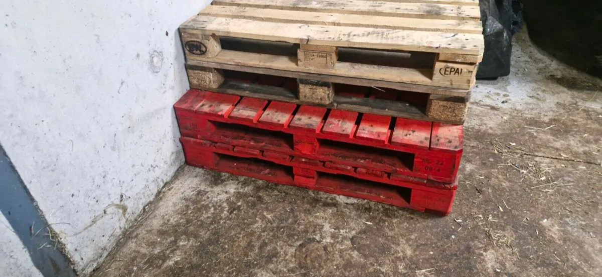 Pallets for sale - Image 1