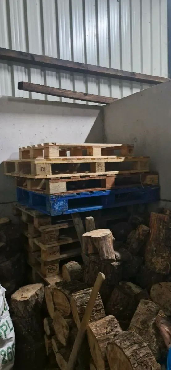 Pallets for sale - Image 2