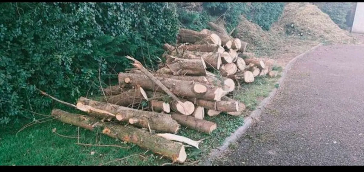 Fire wood / logs - Image 1