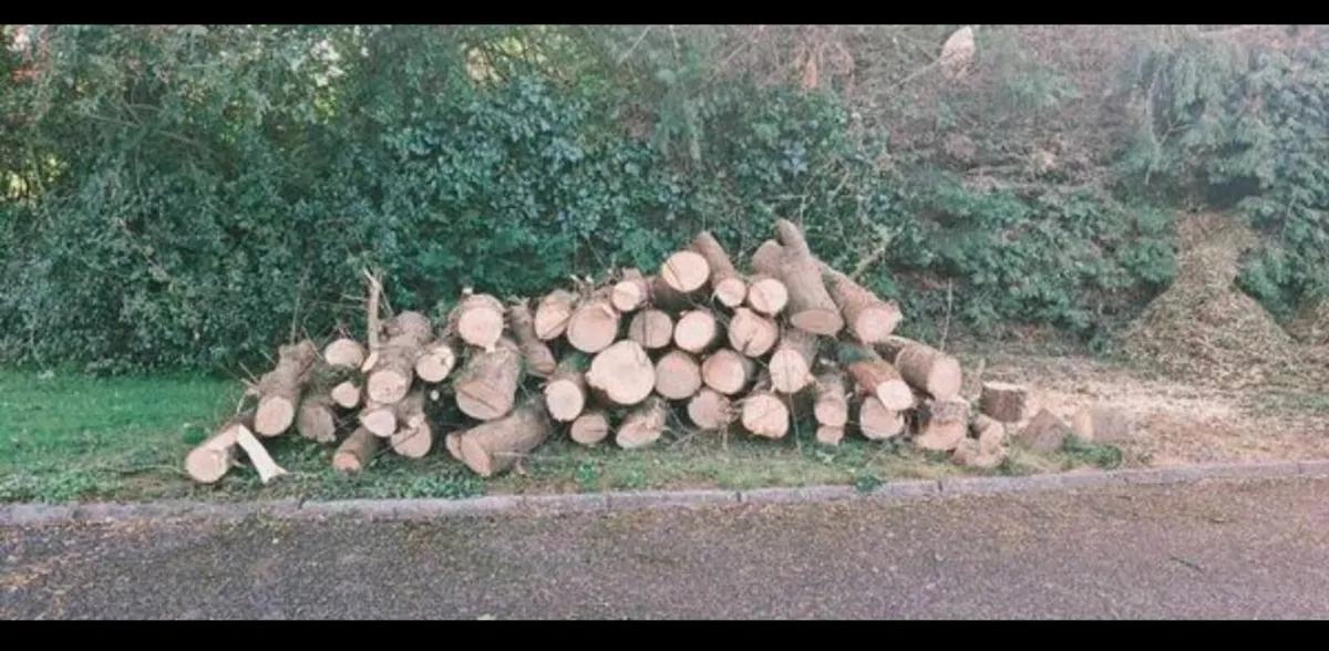 Fire wood / logs - Image 2