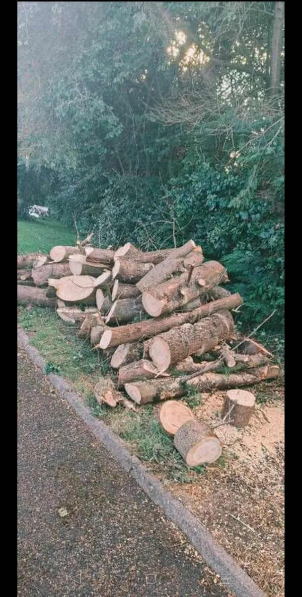 Fire wood / logs - Image 3