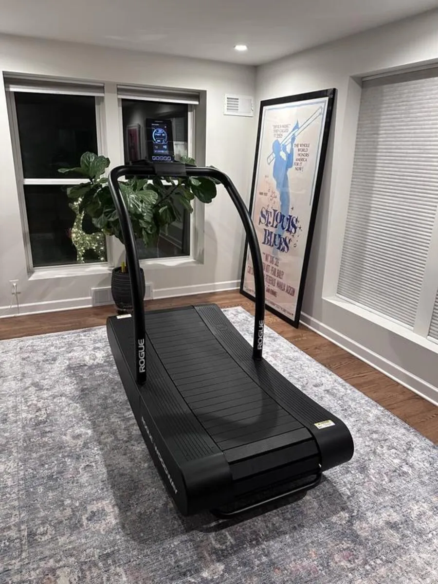 Rogue Woodway Air Treadmill - Image 1