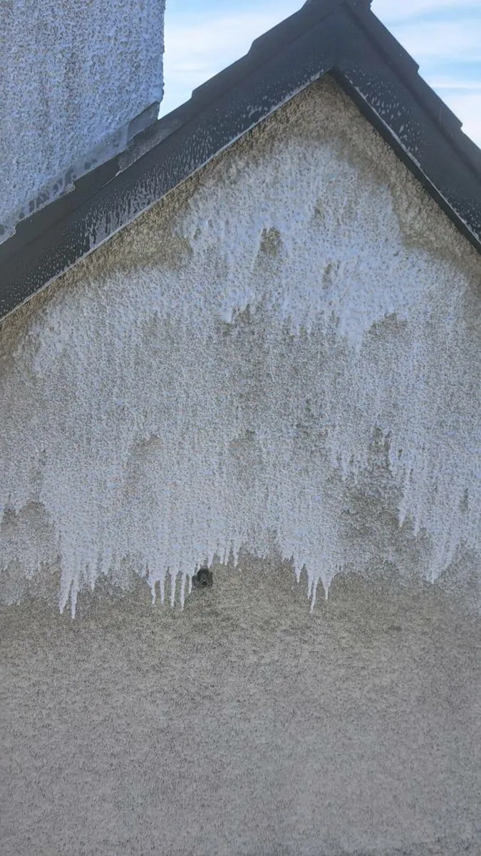 Driveway Cleaning - Image 4