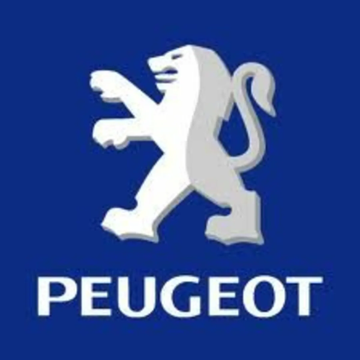 2025 PEUGOT Map Updates