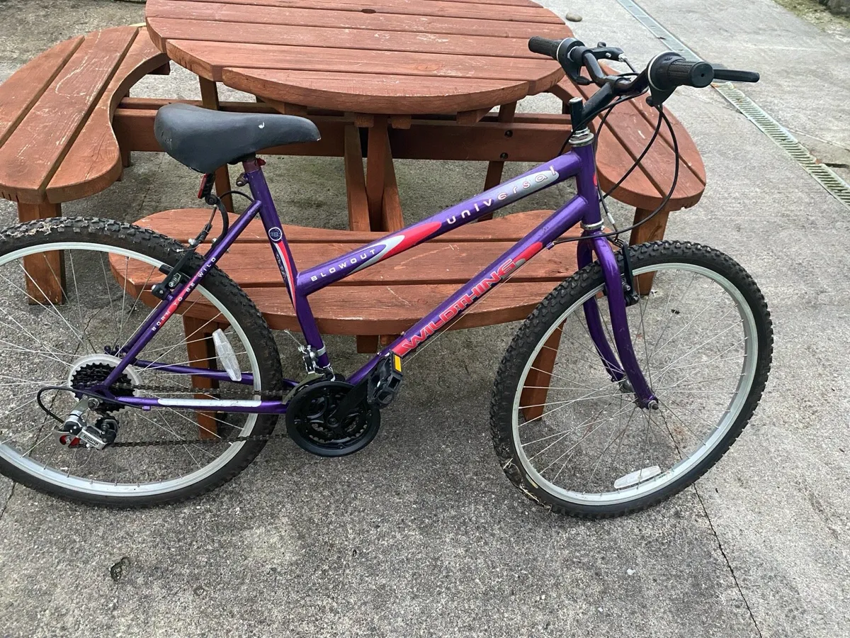 Mountain bike