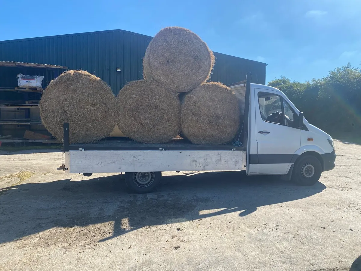 Round bales hay - Image 3