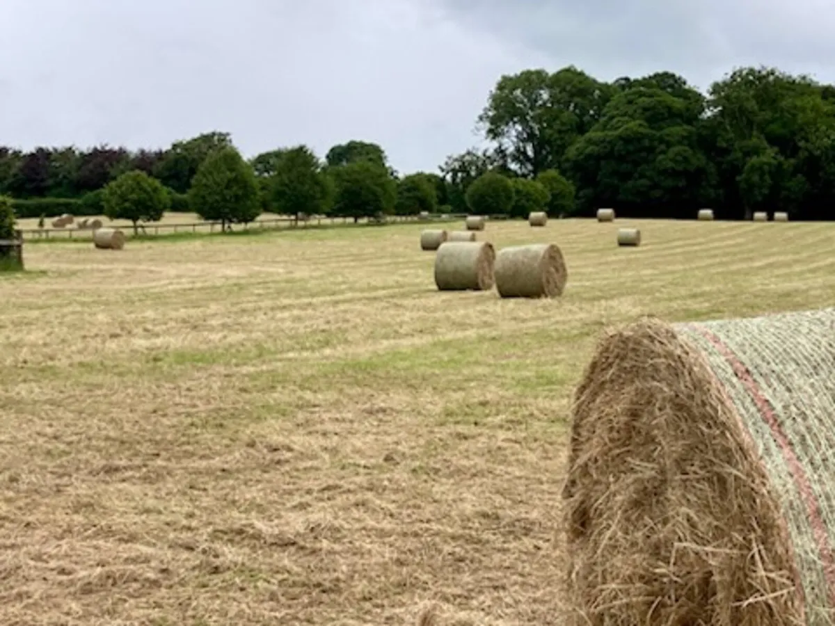 Round bales hay - Image 1