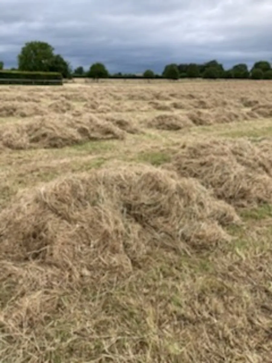 Round bales hay - Image 4