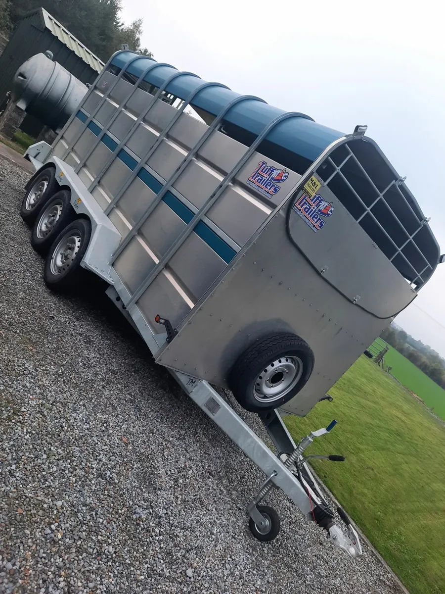 Cattle trailer - Image 1