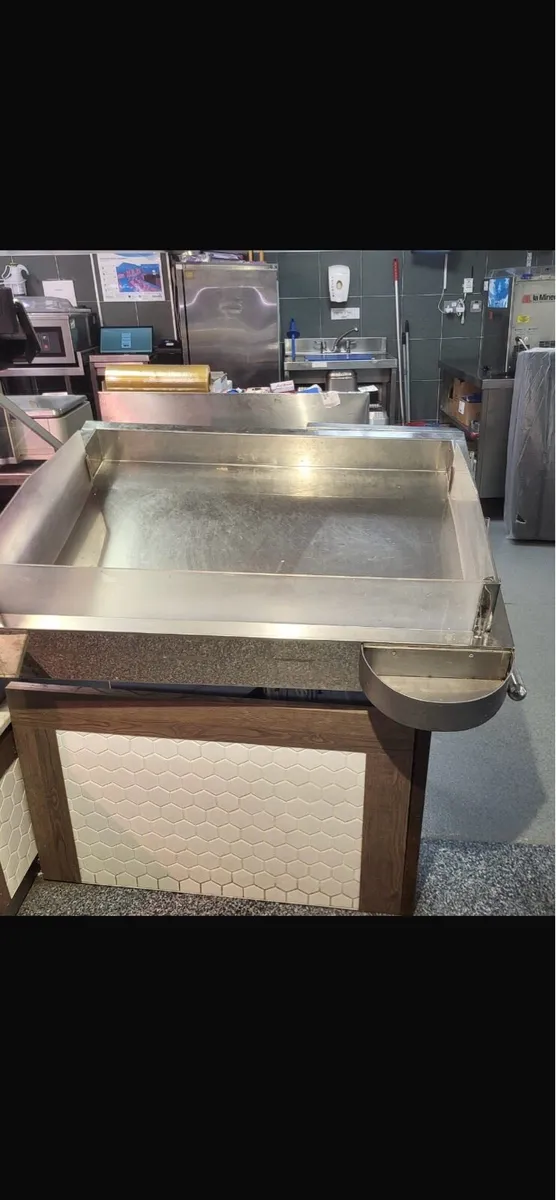 Fish counter