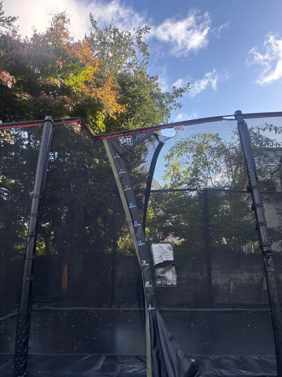 Trampoline - Image 2
