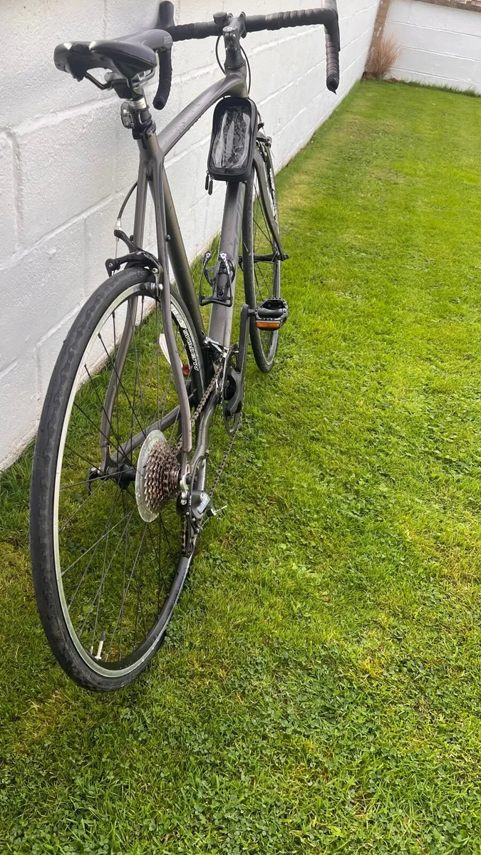 Falco Sport Grey & Black - Image 3