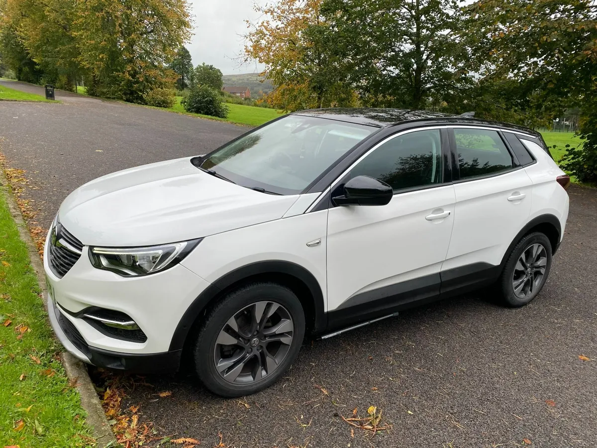 Vauxhall Grandland X 2019 - Image 2