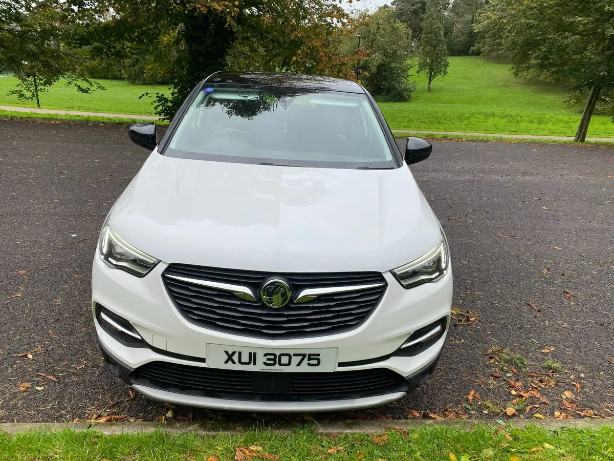 Vauxhall Grandland X 2019 - Image 3
