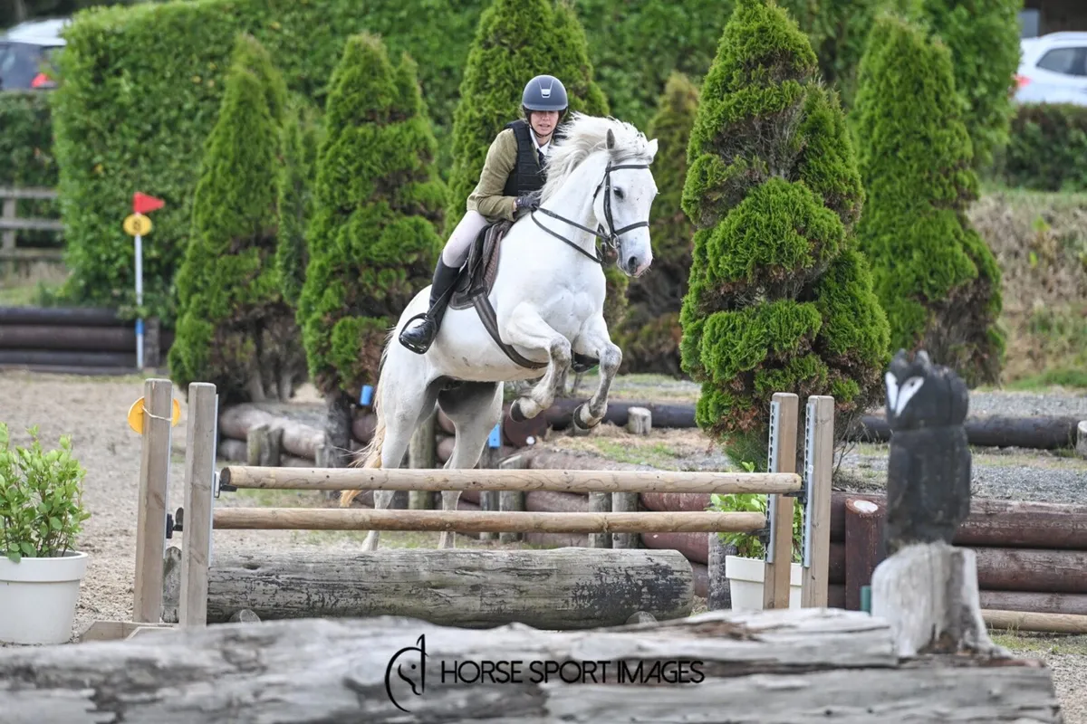 Top SJ/Event pony - Image 3