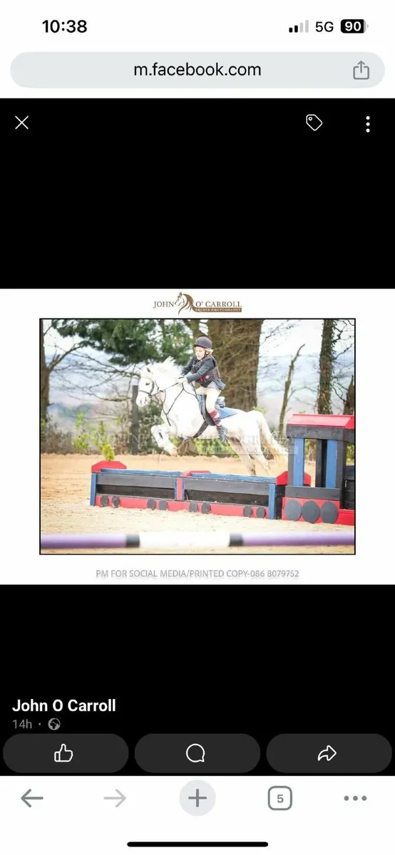Pony - Image 1