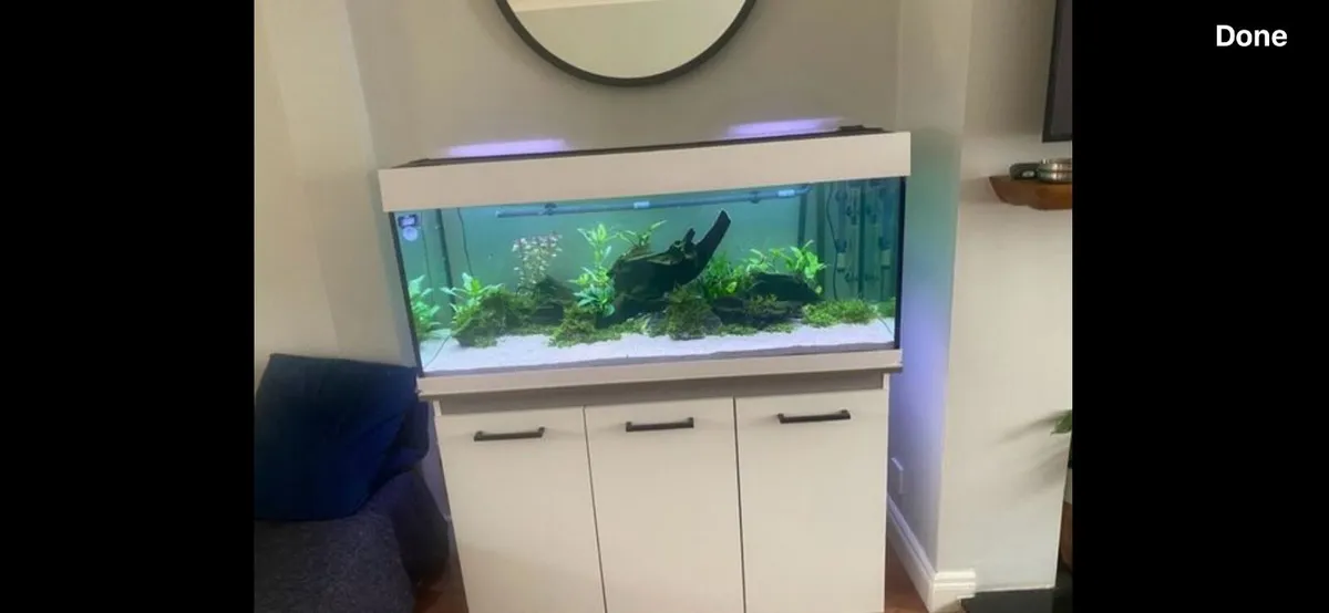 Aquarium - Image 1