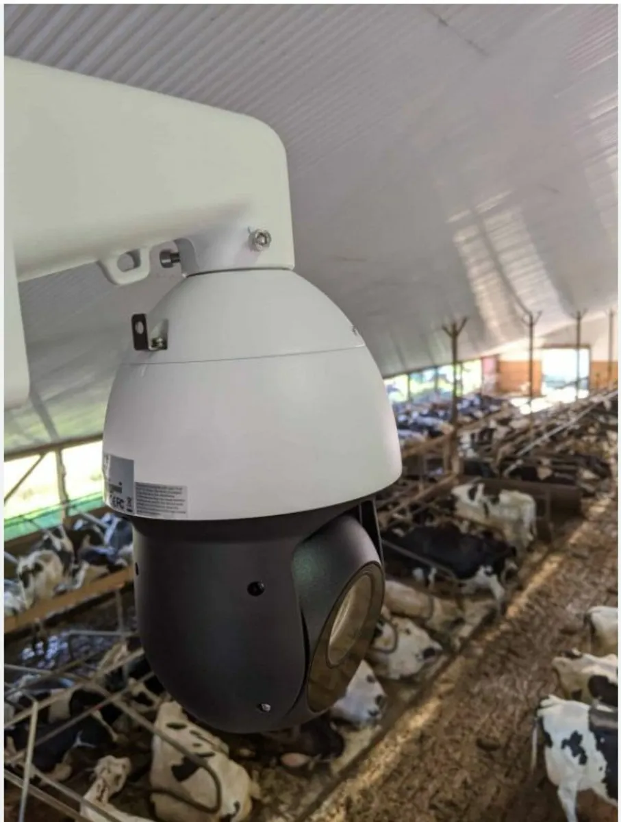 Calving Cameras