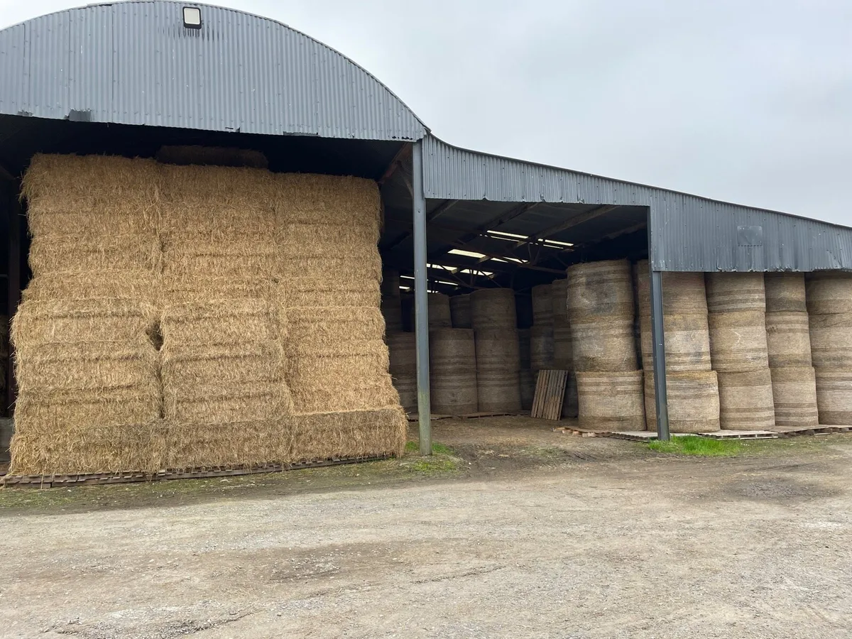 Hay for sale, large squares and rounds - Image 1