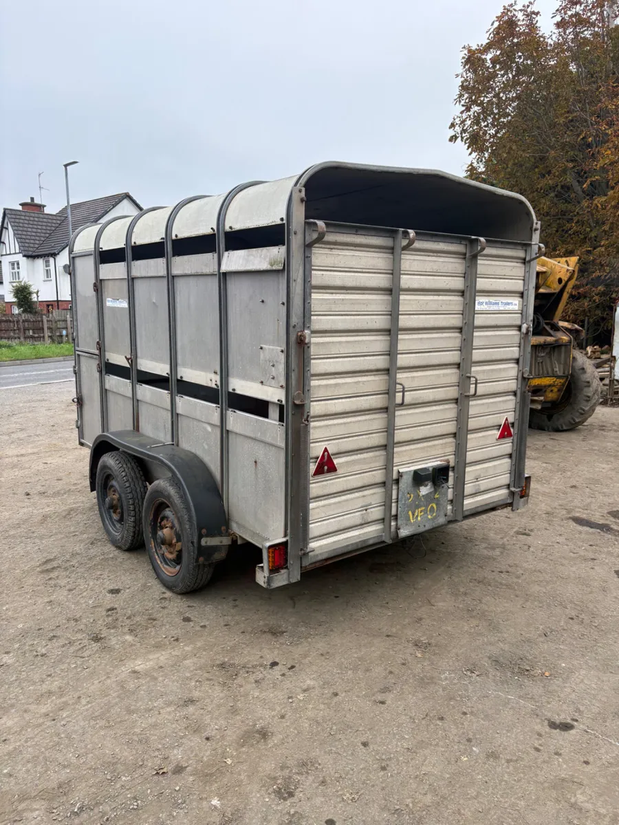 Ifor Williams 10ft cattle trailer - Image 2