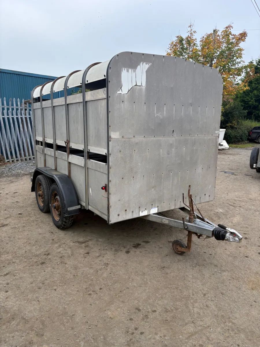 Ifor Williams 10ft cattle trailer - Image 1