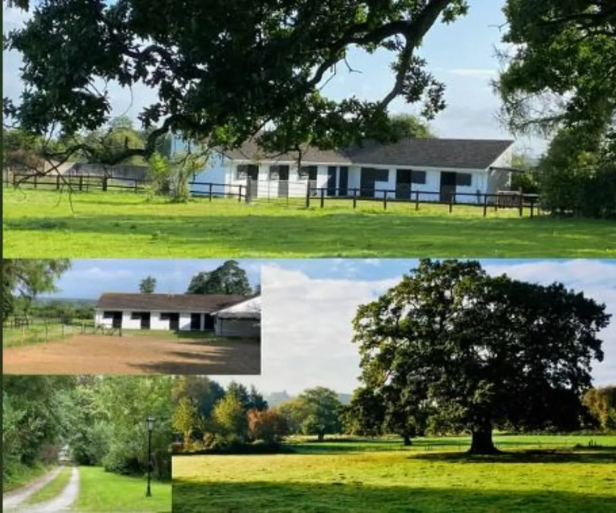 Equine Yard Stables Paddock for Lease Rent Laois - Image 1