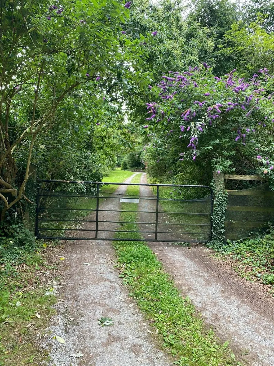 Equine Yard Stables Paddock for Lease Rent Laois - Image 4