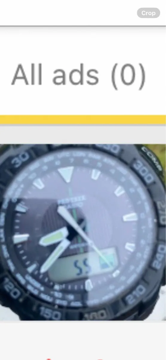 Casio pro trek watch