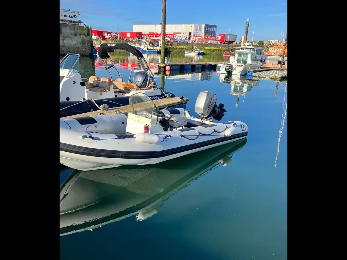 Rib for sale - Image 1